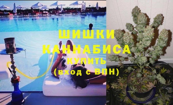 мяу мяу мука Аркадак