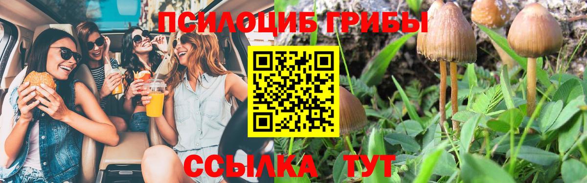 Галлюциногенные грибы MAGIC MUSHROOMS  Вход с VPN  Чистополь  где найти   Галлюциногенные грибы GOLDEN TEACHER 